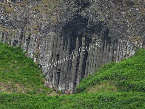Colonnes de basalte sur la Chaussée des Géants en Irlande, entourées de végétation verte.