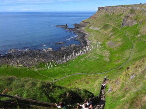 Falaises verdoyantes et côtes rocheuses à la Chaussée des Géants, Irlande.