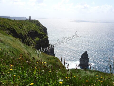Falaises vertes aux Cliffs de Moher, Irlande, avec un rocher émergeant de l'océan et des fleurs jaunes au premier plan.