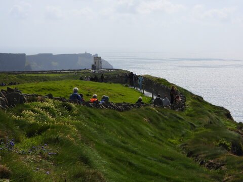 Falaises verdoyantes avec des visiteurs, surplombant l'océan à Cliffs of Moher, Irlande. Une tour blanche se dresse parmi la végétation.
