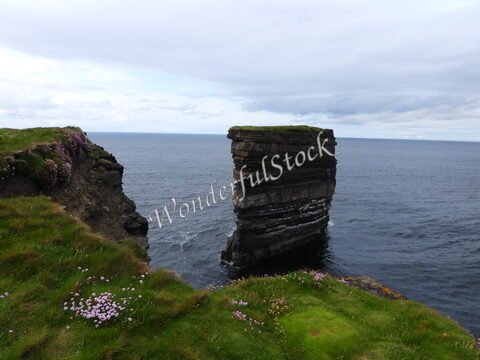 Un rocher en bord de mer à Downpatrick Head, Irlande, entouré de fleurs et surplombant l'océan.