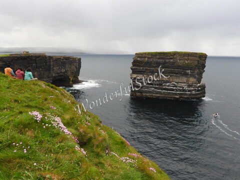 Falaises de Downpatrick Head en Irlande, avec des fleurs sur la pelouse et la mer en arrière-plan.