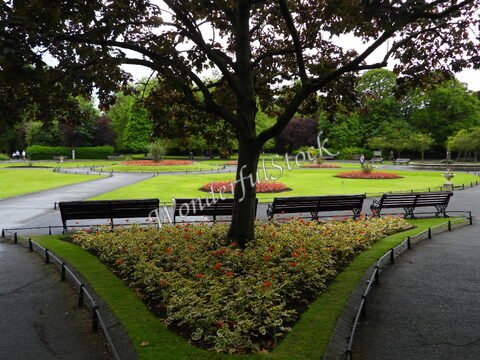 Parc avec des bancs et des fleurs à Dublin, Irlande. Des arbres verdoyants entourent la pelouse soigneusement entretenue.