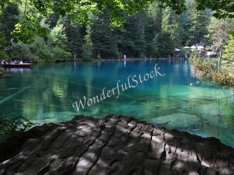 Lac Blausee en Suisse, avec des eaux cristallines et des arbres verdoyants entourant le rivage, où des visiteurs se reposent.