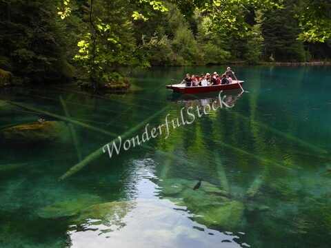 Un groupe de personnes en bateau sur le lac Blausee en Suisse, entouré d'arbres et d'une eau cristalline.