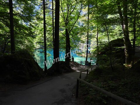 Lac Blausee entouré d'arbres verdoyants en Suisse. Deux personnes se tiennent près de l'eau claire.