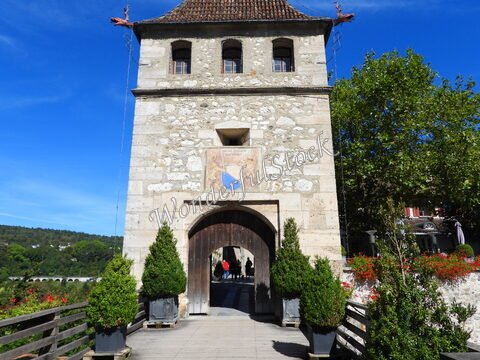 Porte en pierre avec un blason, entourée de verdure, aux Chutes du Rhin en Suisse.