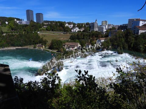 Chutes du Rhin en Suisse avec des bâtiments en arrière-plan et une végétation luxuriante.