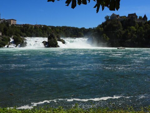 Chutes du Rhin en Suisse, avec de l'eau tumultueuse et des paysages verdoyants en arrière-plan.