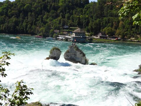 Chutes du Rhin en Suisse, avec des rochers au milieu des eaux tumultueuses et des bâtiments en arrière-plan.