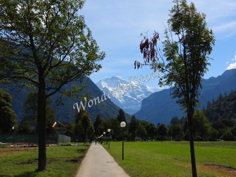 Chemin bordé d'arbres avec des lampadaires, vue sur les montagnes à Interlaken, Suisse.