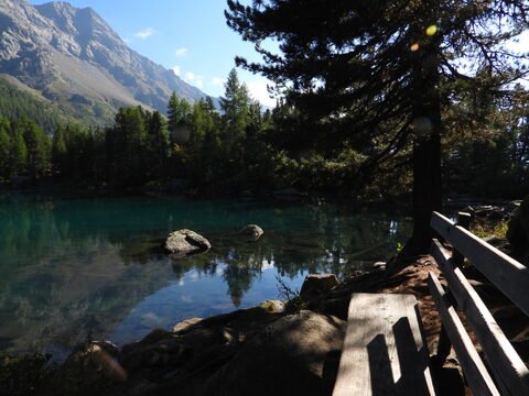 Lac de Saoseo en Suisse, avec des rochers visibles et une végétation dense entourant l'eau calme.