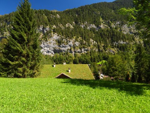 Maison avec un toit en verdure, entourée d'arbres et de montagnes, à Lauterbrunnen, Suisse.