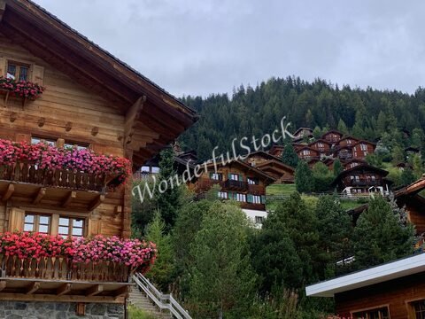 Maisons en bois avec balcons fleuris à Grimentz, Suisse, entourées de sapins et de montagnes verdoyantes.