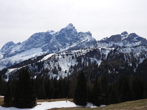 Montagnes enneigées des Dolomites en Italie, avec des conifères au premier plan et un ciel nuageux.