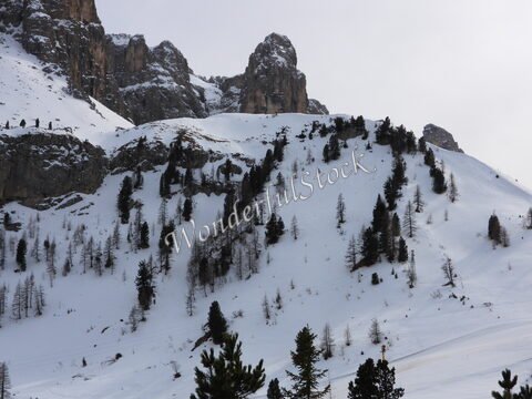 Pente enneigée des Dolomites en Italie, avec des conifères épars et des sommets rocheux en arrière-plan.