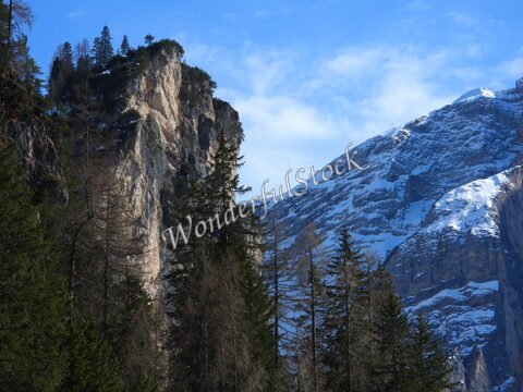 Falaises et sapins en arrière-plan dans les Dolomites, Italie. Ciel partiellement nuageux et sommets enneigés.