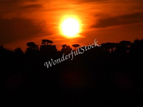 Soleil se couchant derrière des silhouettes d'arbres à Rome, Italie.