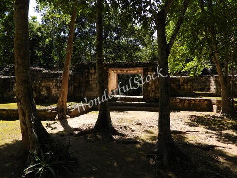 Ruines anciennes entourées d'arbres, Balamku, Mexique.