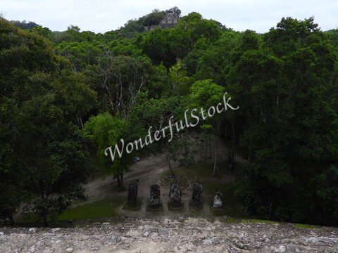 Ruines de Calakmul au Mexique, entourées d'une végétation dense et d'arbres, avec des structures anciennes visibles au loin.