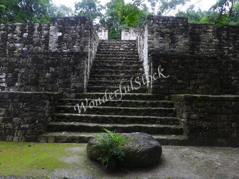 Escaliers en pierre menant à des ruines, entourés de végétation, à Calakmul, Mexique.