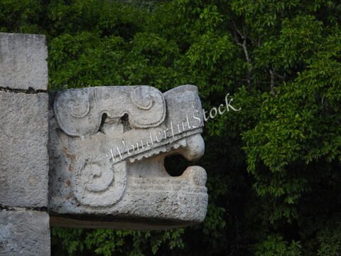Tête de serpent en pierre, entourée de végétation, à Itza, Mexique.