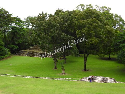Ruines mayas entourées d'arbres dans un espace vert à Palenque, Mexique.