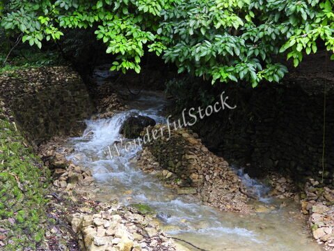 Un ruisseau entouré de pierres et de feuillage à Palenque, Mexique.