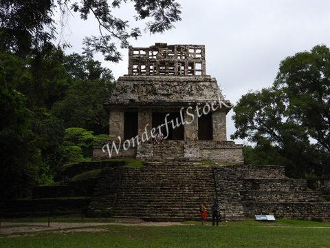 Temple ancien à Palenque, Mexique, avec des marches en pierre et une végétation environnante.