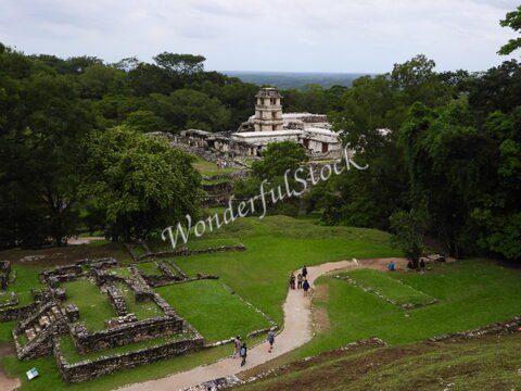 Ruines de Palenque, entourées de verdure, au Mexique. Des visiteurs se déplacent sur un sentier sinueux au milieu des vestiges.