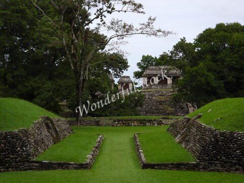 Ruines mayas entourées de verdure à Palenque, Mexique, avec des structures en pierre et des arbres environnants.