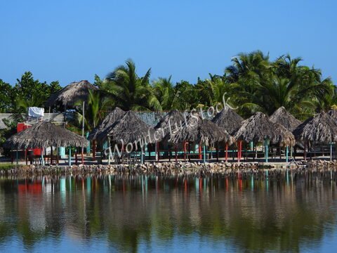 Des huttes en palapa au bord d'un lac, entourées de palmiers, à Xtampu, Mexique.