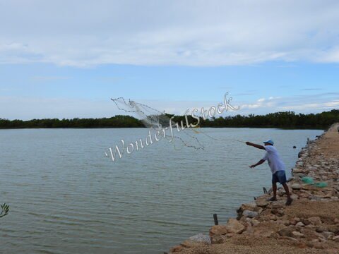 Un homme lance un filet dans l'eau à Santa Clara, Mexique, avec des mangroves en arrière-plan et un ciel nuageux.