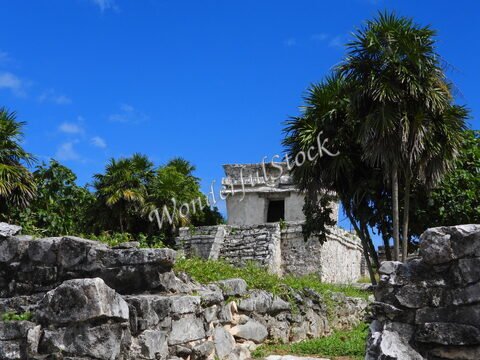 Ruines mayas entourées de palmiers à Tulum, Mexique, sous un ciel bleu avec quelques nuages.