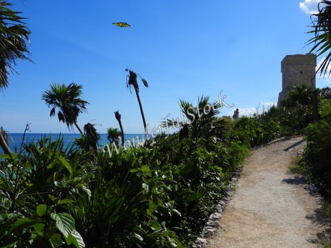 Sentier bordé de végétation menant à une structure ancienne à Tulum, Mexique, avec la mer en arrière-plan.