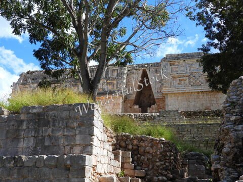Ruines d'Uxmal au Mexique, avec un arbre et des structures en pierre visibles sous un ciel partiellement nuageux.