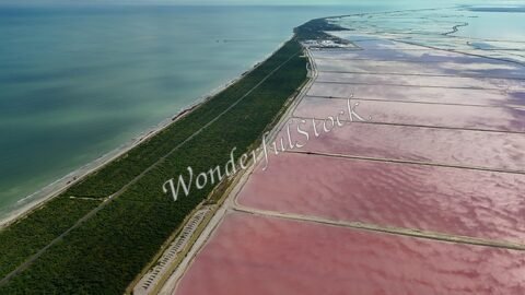 Salins de couleur rose et végétation, vue aérienne au Mexique.
