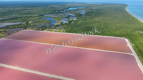 Salins rose au Mexique, entourés de zones humides verdoyantes et d'une étendue côtière.