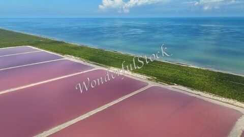 Salins roses au Mexique, avec une étendue d'eau turquoise et une bande de végétation au loin.
