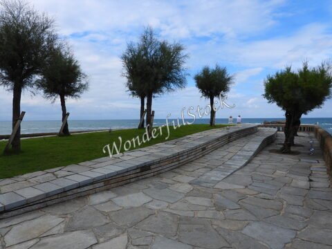 Promenade en bord de mer à Biarritz, France, avec des arbres et une vue sur l'océan.