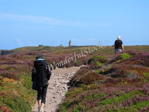 Deux personnes marchent sur un sentier bordé de bruyères à Cap Fréhel, en Bretagne, France, avec un phare en arrière-plan.