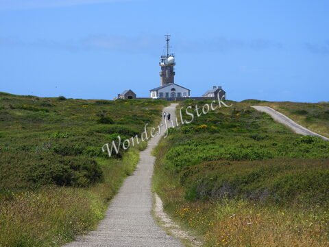 Phare à la Pointe du Raz, Bretagne, France, avec un chemin menant à un bâtiment, entouré de végétation verdoyante.