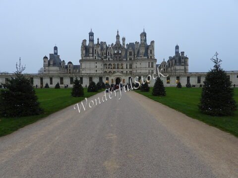 Château de Chambord en France, avec des sapins décorés et un chemin menant à l'entrée.