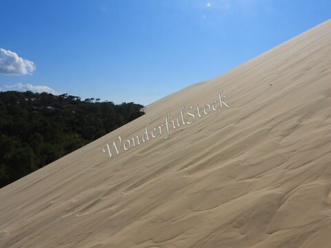 Dune de sable à la Dune du Pilat, France, avec un ciel bleu et des arbres en arrière-plan.