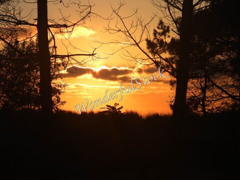 Coucher de soleil derrière des arbres dans les Landes, France, avec des nuages et une lumière dorée.
