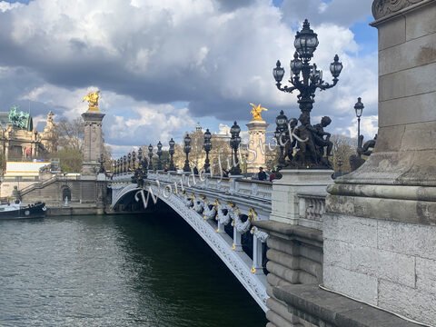 Pont décoré sur la Seine à Paris, France, avec des statues dorées et des lampadaires ornés.