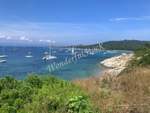 Bateaux à voile dans une baie à Porquerolles, France, avec des rochers et de la végétation au premier plan.