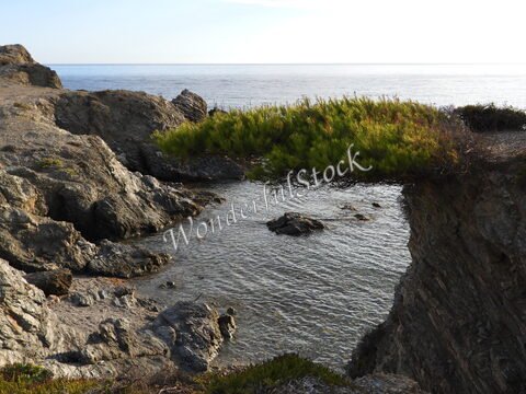 Rochers surplombant une eau calme, avec des pins en bord de mer à Six-Fours, France.