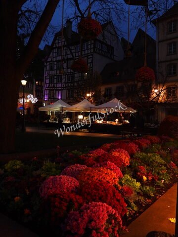Fleurs colorées en premier plan, avec des bâtiments à colombages en arrière-plan, à Strasbourg, France.