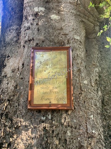 Arbre de la Liberté, Valcros, France, avec une plaque commémorative en bois et métal sur son tronc.